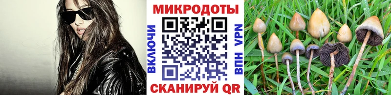 наркотики  Кочубеевское  Галлюциногенные грибы MAGIC MUSHROOMS 